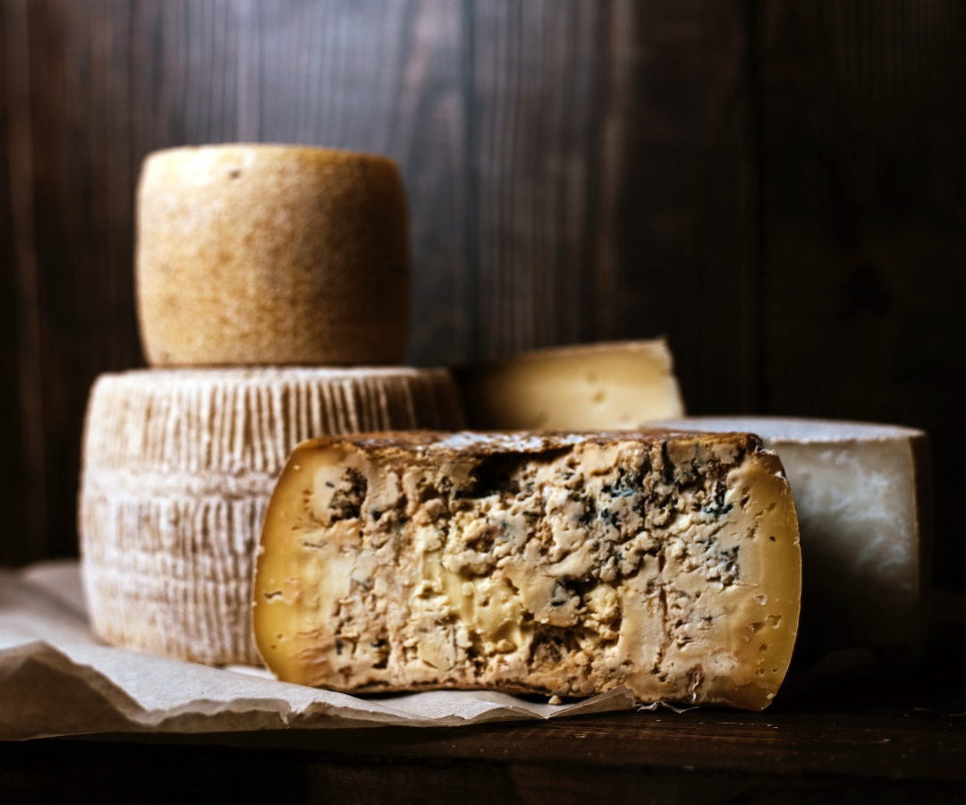 cheese-canva stock