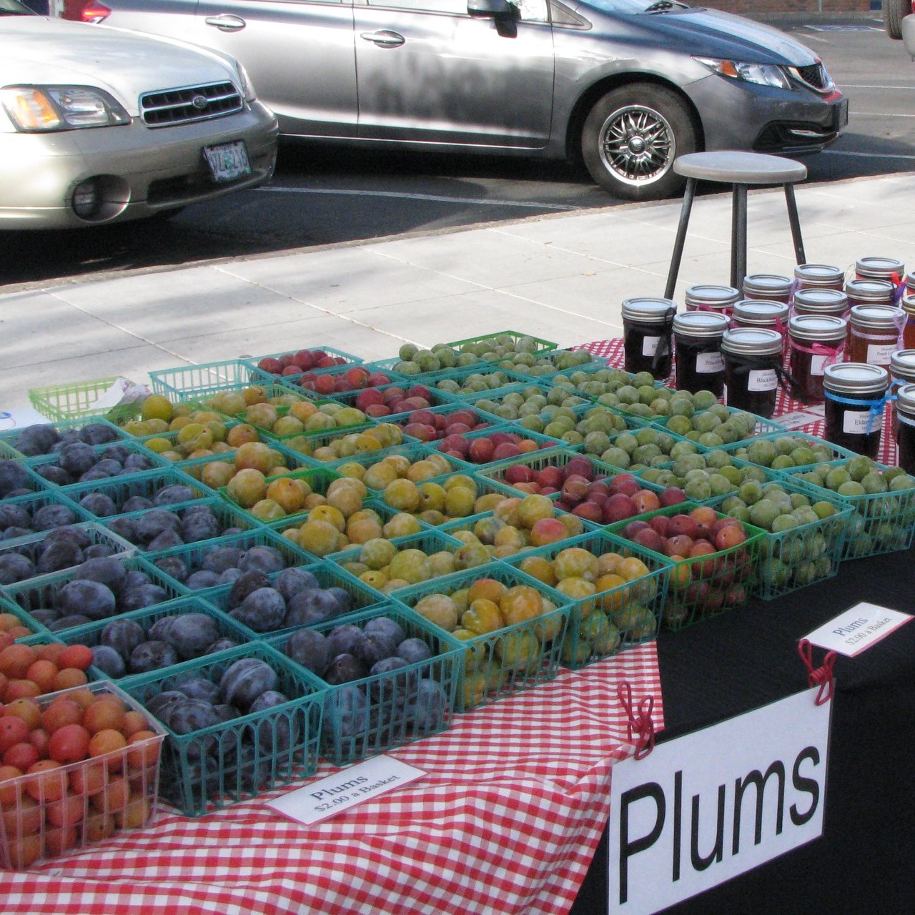 produce farmes market garden vegetables fruit (1)