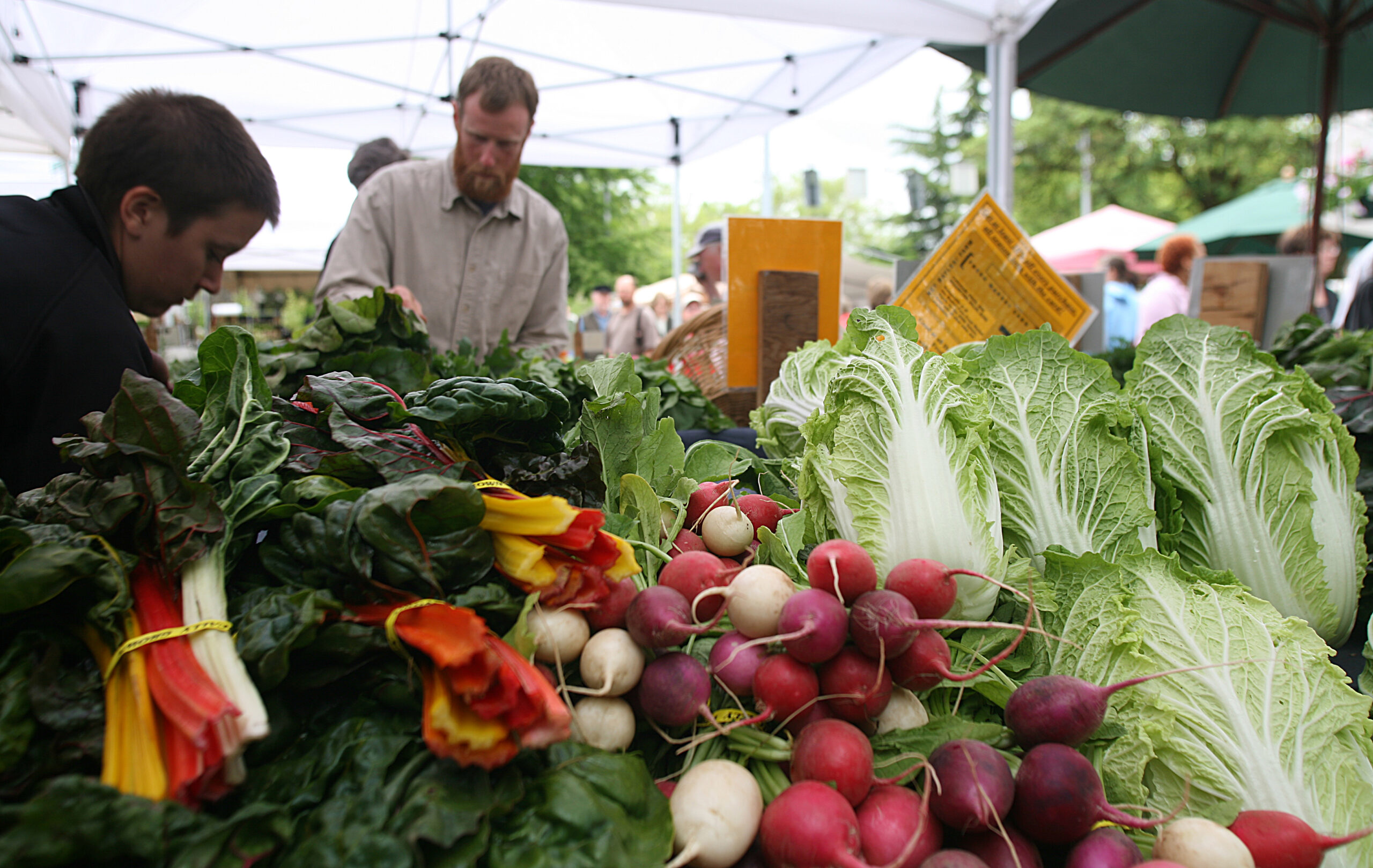 produce farmes market garden vegetables fruit (11)