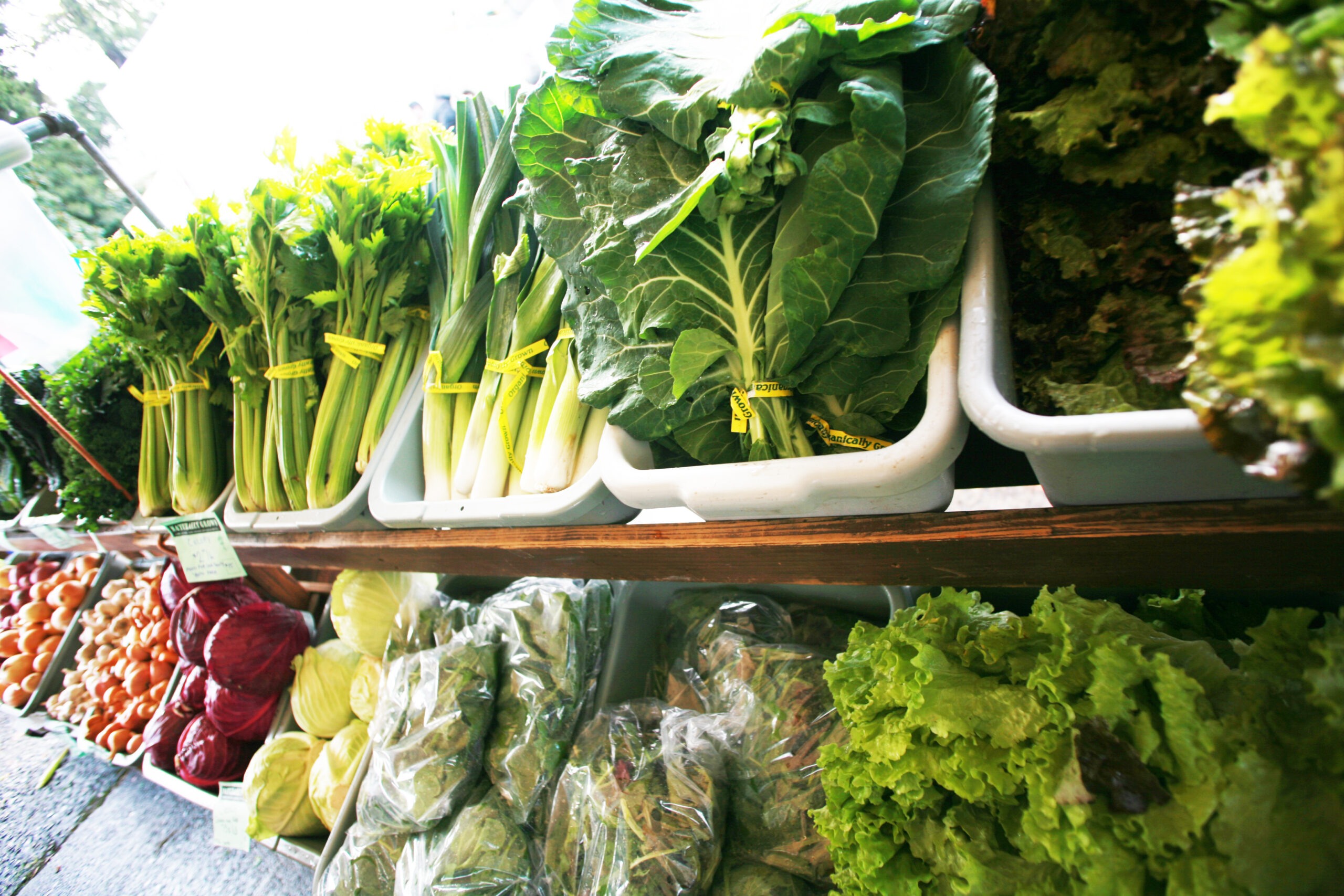 produce farmes market garden vegetables fruit (9)